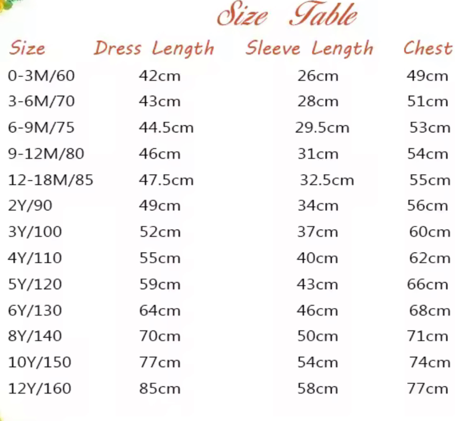 Girls Classic Wine Velvet Dress
